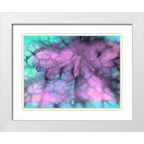 Celestial Dew Drops II White Modern Wood Framed Art Print with Double Matting by Bane, Eva