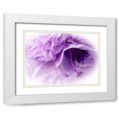 Dreamy Florals in Violet III White Modern Wood Framed Art Print with Double Matting by Bane, Eva