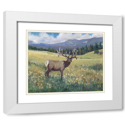 Rocky Mountain Elk I White Modern Wood Framed Art Print with Double Matting by OToole, Tim