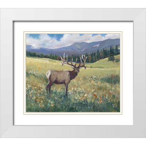 Rocky Mountain Elk I White Modern Wood Framed Art Print with Double Matting by OToole, Tim