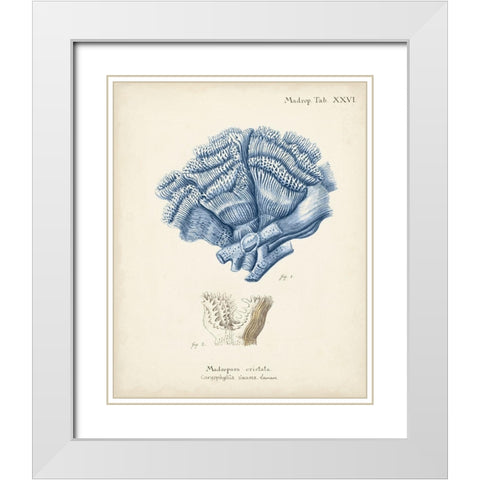Antique Coral in Navy II White Modern Wood Framed Art Print with Double Matting by Esper, Johann