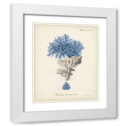 Antique Coral in Navy III White Modern Wood Framed Art Print with Double Matting by Esper, Johann