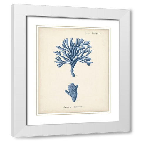 Antique Coral in Navy IV White Modern Wood Framed Art Print with Double Matting by Esper, Johann