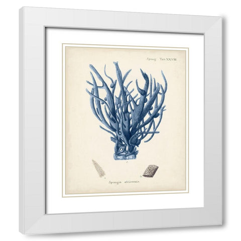 Antique Coral in Navy V White Modern Wood Framed Art Print with Double Matting by Esper, Johann