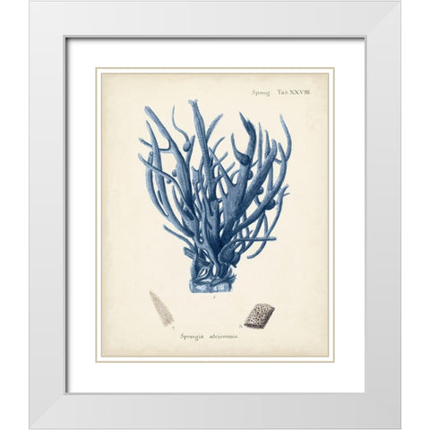 Antique Coral in Navy V White Modern Wood Framed Art Print with Double Matting by Esper, Johann