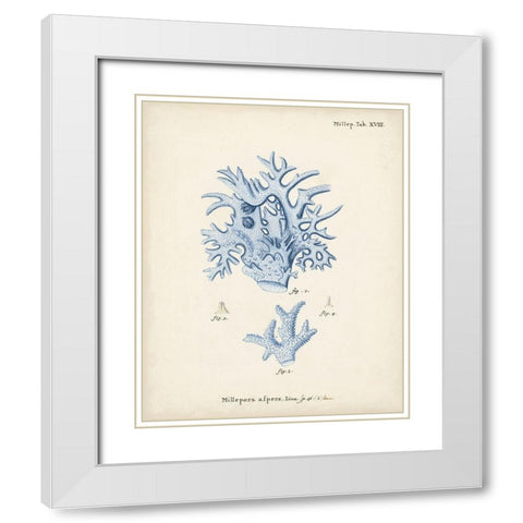 Antique Coral in Navy VI White Modern Wood Framed Art Print with Double Matting by Esper, Johann