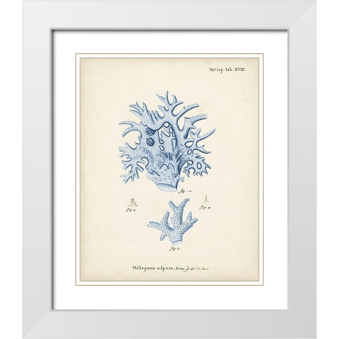 Antique Coral in Navy VI White Modern Wood Framed Art Print with Double Matting by Esper, Johann