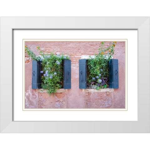 Italian Window Flowers II White Modern Wood Framed Art Print with Double Matting by DeNardo, Laura