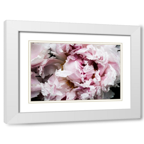 Pink Peony Passion II White Modern Wood Framed Art Print with Double Matting by Orlov, Irena
