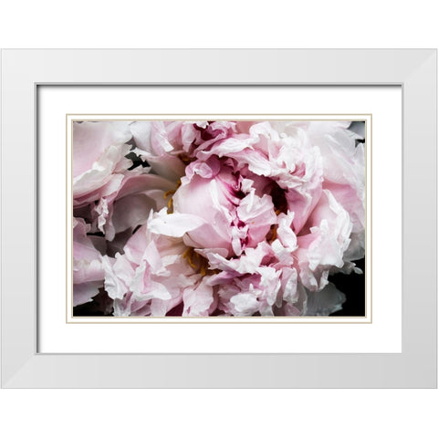 Pink Peony Passion II White Modern Wood Framed Art Print with Double Matting by Orlov, Irena
