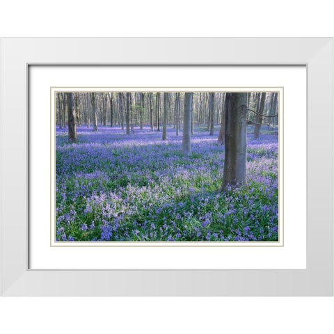 Bluebell Dreams I White Modern Wood Framed Art Print with Double Matting by Dautlich, Nick