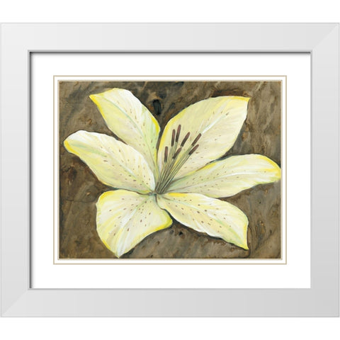 Neutral Lily I White Modern Wood Framed Art Print with Double Matting by OToole, Tim