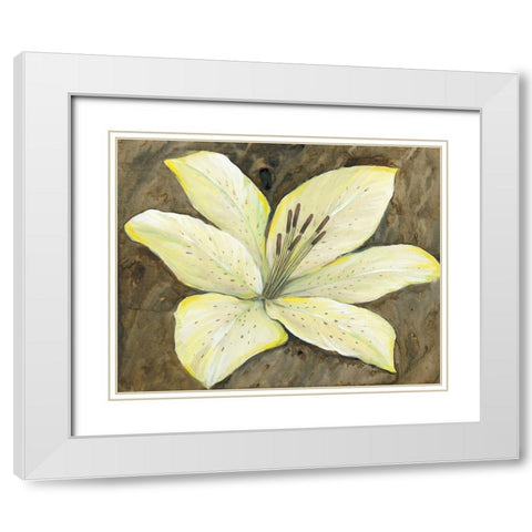 Neutral Lily II White Modern Wood Framed Art Print with Double Matting by OToole, Tim