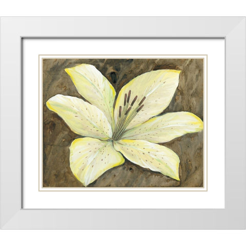 Neutral Lily II White Modern Wood Framed Art Print with Double Matting by OToole, Tim