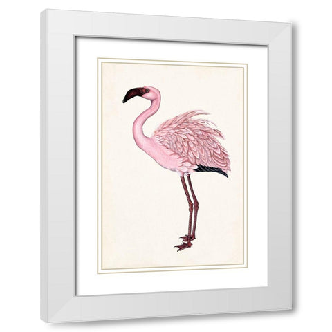 Striking Flamingo II White Modern Wood Framed Art Print with Double Matting by McCavitt, Naomi