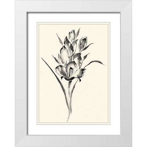 Ink Wash Floral II - Gladiolus White Modern Wood Framed Art Print with Double Matting by Rae, Nan