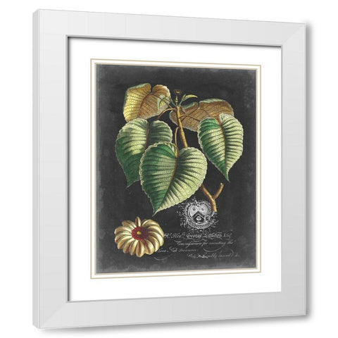 Royal Foliage I White Modern Wood Framed Art Print with Double Matting by Vision Studio