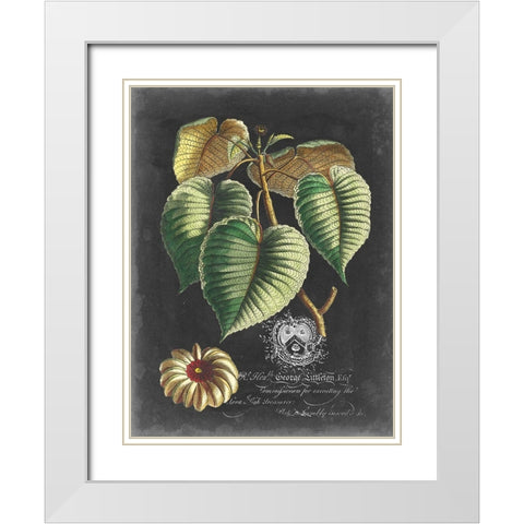 Royal Foliage I White Modern Wood Framed Art Print with Double Matting by Vision Studio