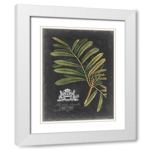 Royal Foliage II White Modern Wood Framed Art Print with Double Matting by Vision Studio