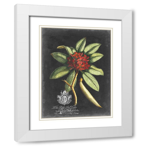 Royal Foliage III White Modern Wood Framed Art Print with Double Matting by Vision Studio
