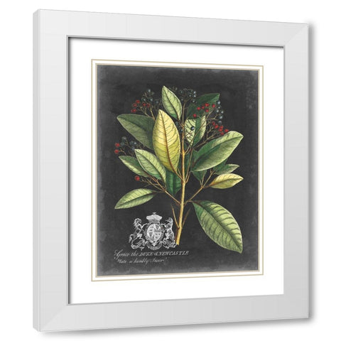 Royal Foliage IV White Modern Wood Framed Art Print with Double Matting by Vision Studio