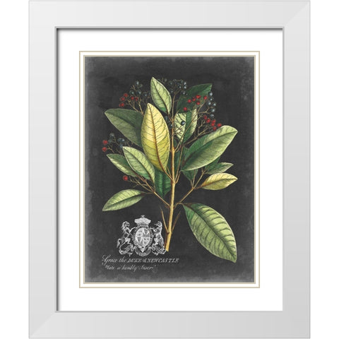 Royal Foliage IV White Modern Wood Framed Art Print with Double Matting by Vision Studio