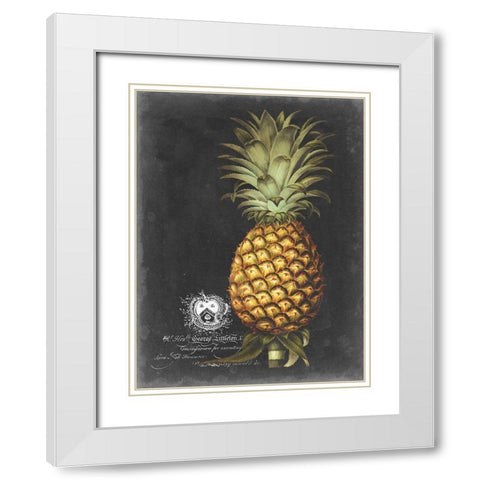 Royal Brookshaw Pineapple I White Modern Wood Framed Art Print with Double Matting by Brookshaw, George
