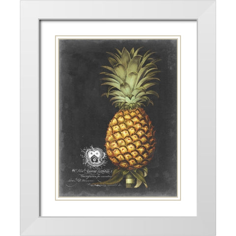 Royal Brookshaw Pineapple I White Modern Wood Framed Art Print with Double Matting by Brookshaw, George