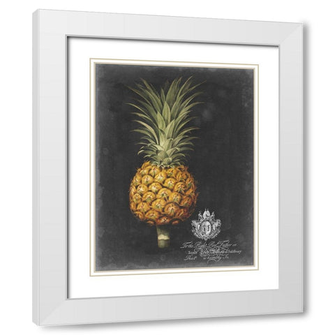Royal Brookshaw Pineapple II White Modern Wood Framed Art Print with Double Matting by Brookshaw, George