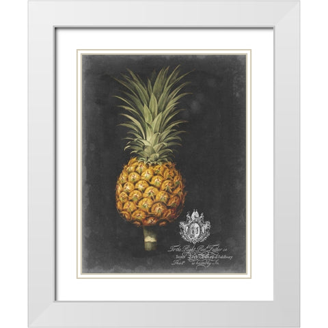 Royal Brookshaw Pineapple II White Modern Wood Framed Art Print with Double Matting by Brookshaw, George