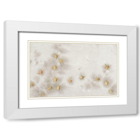 Spangled Grey I White Modern Wood Framed Art Print with Double Matting by Binder, Vanessa