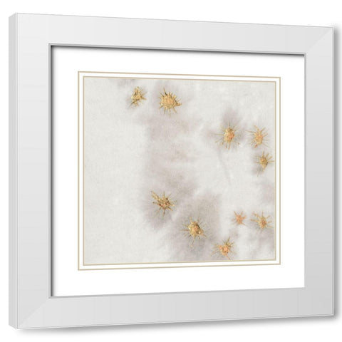 Spangled Grey II White Modern Wood Framed Art Print with Double Matting by Binder, Vanessa