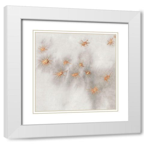 Spangled Grey III White Modern Wood Framed Art Print with Double Matting by Binder, Vanessa