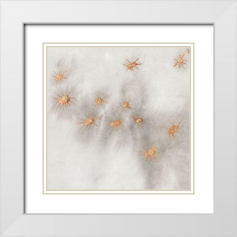 Spangled Grey III White Modern Wood Framed Art Print with Double Matting by Binder, Vanessa