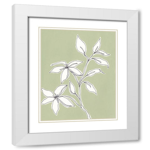 Botanic Drawing I White Modern Wood Framed Art Print with Double Matting by Moore, Regina