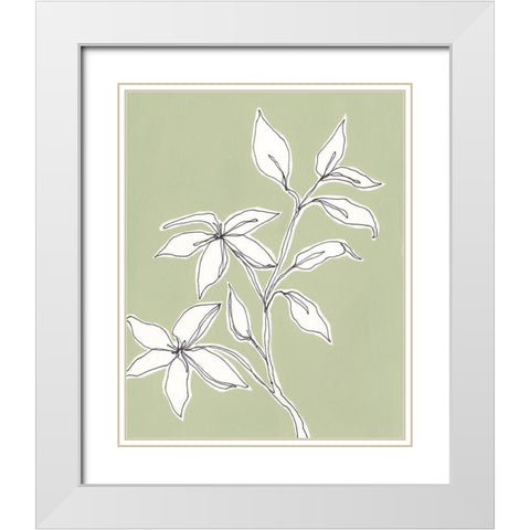 Botanic Drawing I White Modern Wood Framed Art Print with Double Matting by Moore, Regina
