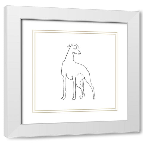 Greyhound Pencil Sketch I White Modern Wood Framed Art Print with Double Matting by Scarvey, Emma