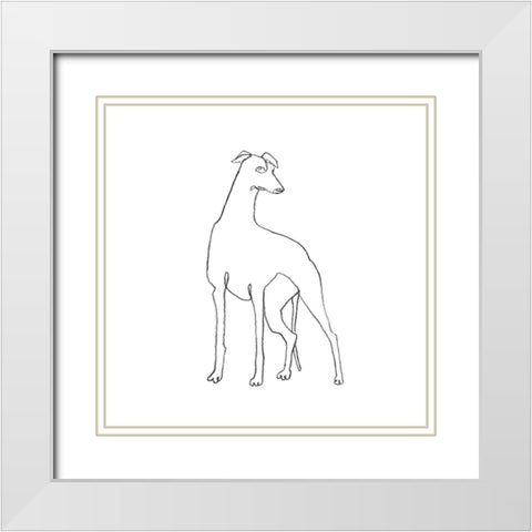 Greyhound Pencil Sketch I White Modern Wood Framed Art Print with Double Matting by Scarvey, Emma