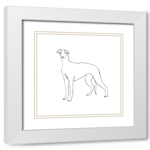 Greyhound Pencil Sketch II White Modern Wood Framed Art Print with Double Matting by Scarvey, Emma