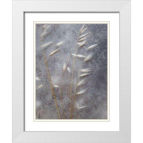 Moonlit Dream II White Modern Wood Framed Art Print with Double Matting by Bane, Eva