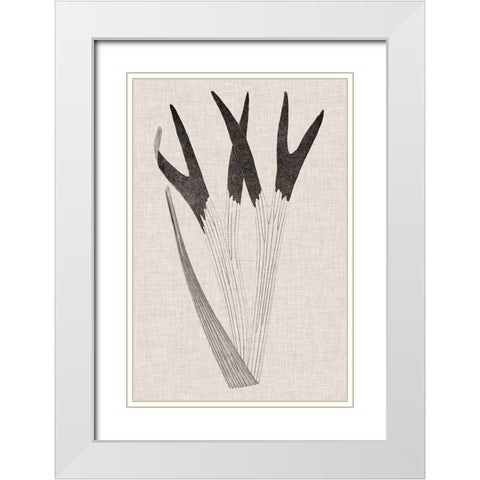 Custom Fern Family II (LG) White Modern Wood Framed Art Print with Double Matting by Lowe