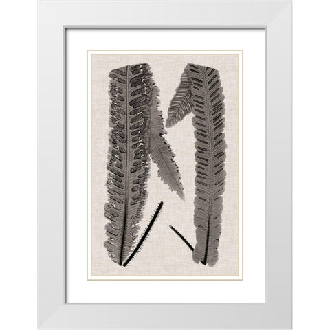 Custom Fern Family III White Modern Wood Framed Art Print with Double Matting by Lowe