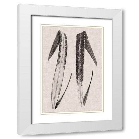Custom Fern Family IV (LG) White Modern Wood Framed Art Print with Double Matting by Lowe