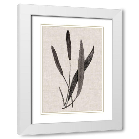 Custom Fern Family VI (LG) White Modern Wood Framed Art Print with Double Matting by Lowe