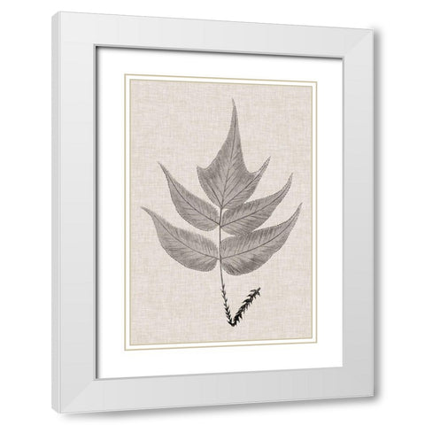 Custom Fern Family VII (LG) White Modern Wood Framed Art Print with Double Matting by Lowe