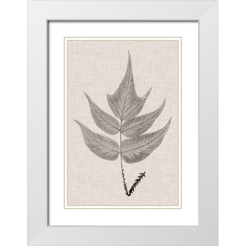 Custom Fern Family VII (LG) White Modern Wood Framed Art Print with Double Matting by Lowe