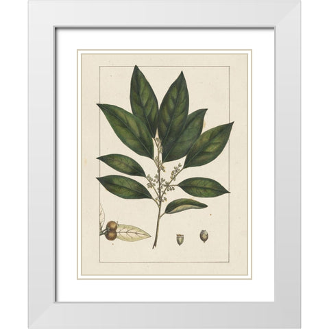 Custom Silva Leaves IV (ASH) White Modern Wood Framed Art Print with Double Matting by Silva, John