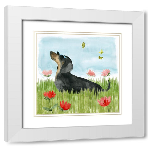 Park Pup I White Modern Wood Framed Art Print with Double Matting by Popp, Grace