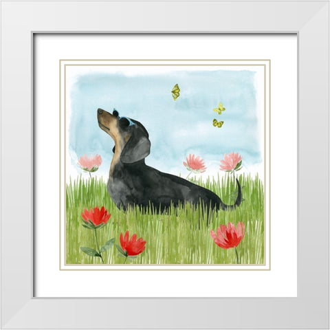 Park Pup I White Modern Wood Framed Art Print with Double Matting by Popp, Grace