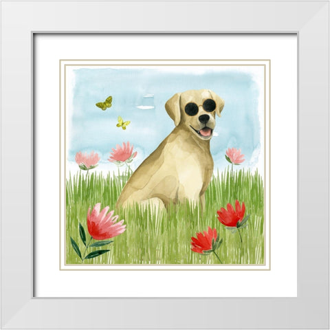 Park Pup II White Modern Wood Framed Art Print with Double Matting by Popp, Grace
